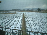 Scene covered with snow in Fukuoka on January 2nd