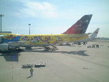 3rd picture of JAL's plane named "DREAM STORY"