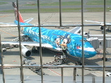 JAL's plane named "DisneySea"